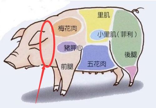 猪颈肉吃了有什么坏处 