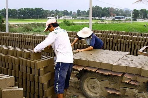 红砖成 弃砖 ,用了上千年的红砖,缘何在当代 失宠