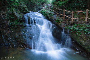 桂林三日,邂逅清幽山水