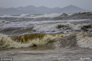 受台风 摩羯 影响 青岛海滨巨浪滚滚景象壮观 