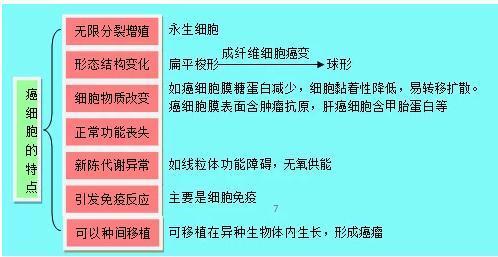 高中生物 学霸笔记知识点大总结 希望帮助到更多的同学