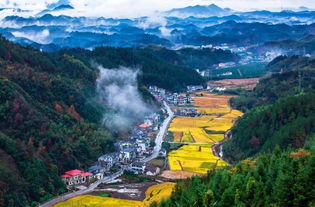 浙江杭州临安天目山镇