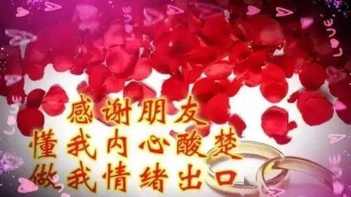 感恩节, 祝你一生平安幸福快乐