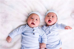 2016年2月出生的双胞胎女宝宝起名字 