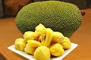越南菠萝蜜产地在哪里,海南菠萝蜜和越南菠萝蜜区别？
