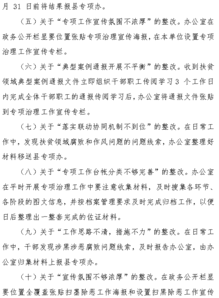 专家反馈整改意见范文,专项资金审计整改意见？