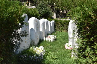 北京墓地有几家是生态葬的