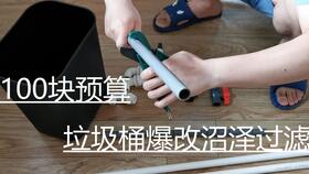 自己DIY制作的沼泽内置缸 鱼和龟