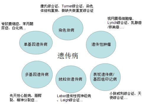 为什么会有遗传病?