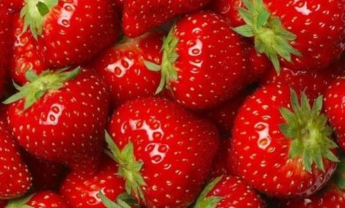 热泵草莓烘干工艺介绍