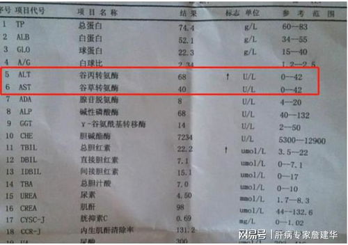 转氨酶升高就一定是肝炎了吗 还有这几个原因