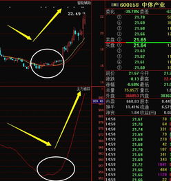 今天中体产业早盘的大单是怎么回事 请高手指教