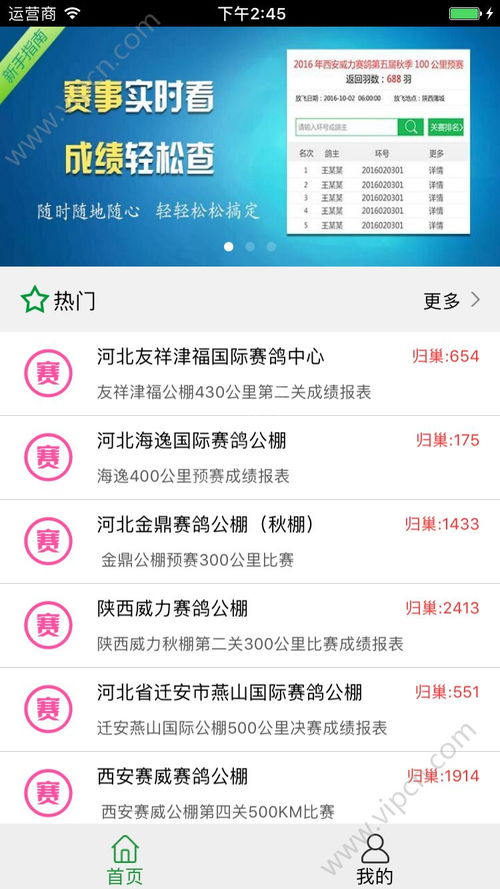 赛鸽助手app