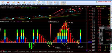 通达信软件 选股公式 怎么用