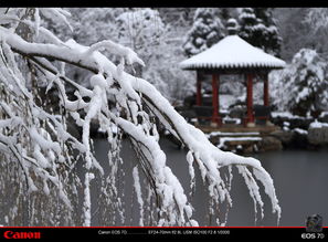 背景下雪怎么弄好看 下雪照片怎么调出高级感