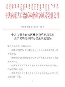 决定任命的通知范文  人事任命通知邮件怎么写？