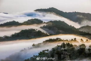 雾太大了,标题都看不清了