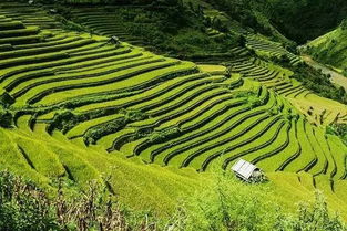 乡村旅游 文化旅游综合体,未来十年旅游人一定要抓住 搜狐 