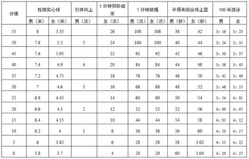 深圳中考2023年新体育评分表,深圳中考体育评分标准2023