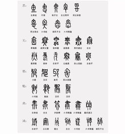 鲍 明的名字解释及寓意