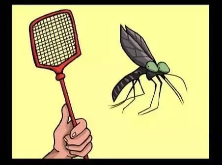 天热了,清远街坊家中蚊子螨虫多 这几个驱蚊除螨妙方要记住