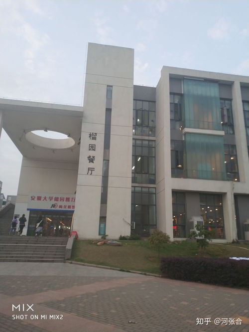 安徽大学磬苑校区有哪些学院