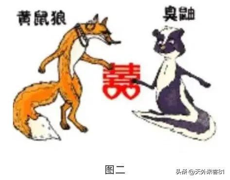 大家都在猜我金主是谁(大家都在猜我金主是谁甜吗) 