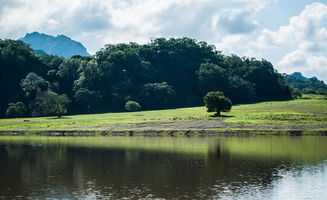 留在心底的那道风景，身边的那道风景作文