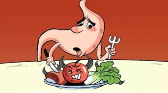 胃消化功能差 常吃这7种食物,管用