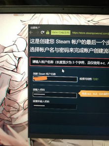 求助,创建steam账号到最后一步总是无法注册,会出现无法识别输入账号名的问题,如图要怎么办呀 