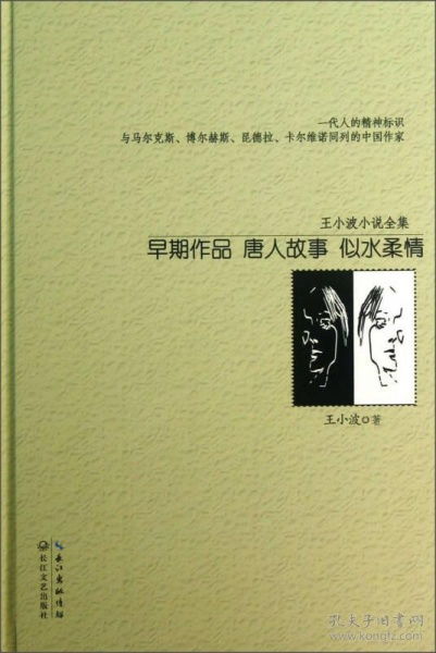 王小波励志小说推荐  推荐王小波的书？