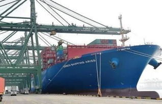 中国港口集装箱网 