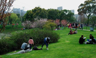 踏青又叫什么,因为北方少江河，所以端午节人们大都选择踏青，踏青古时又叫什么？(图2)