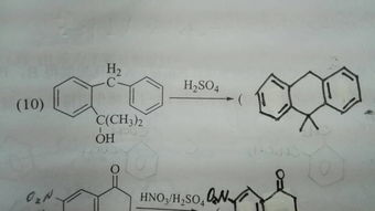 滋吸效应是什么意思啊？求大神指教