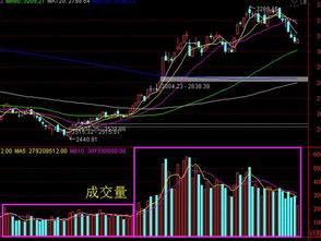 股票查询交割中成交数量是什么意思