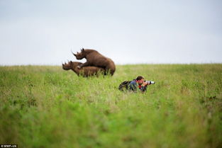 摄影师认真工作照 被后面 正在忙 的犀牛大抢镜