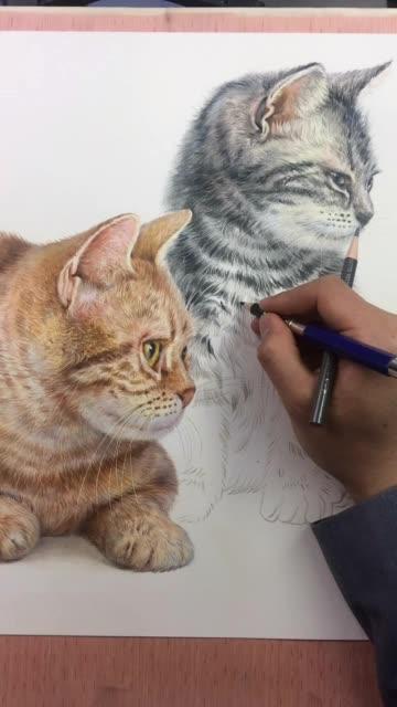 两只可爱的猫咪,素描刻画中 