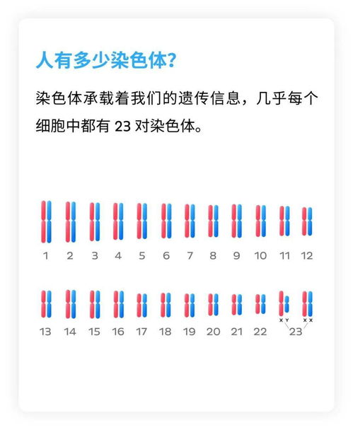 什么是 DNA 