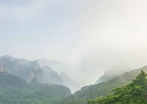 天下第一奇山 黄山之行