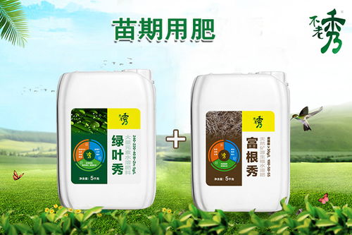 种植山药要使用什么肥,山药长粗用