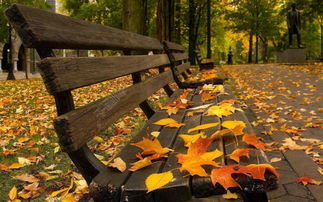 秋天的风景高清图片免费下载 jpg格式 1920像素 编号18132395 千图网 