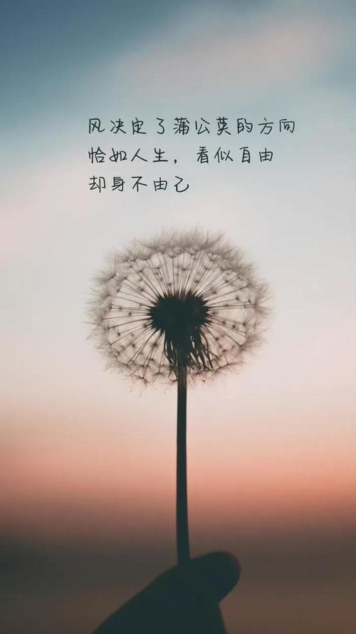 雨天文案短句干净治愈