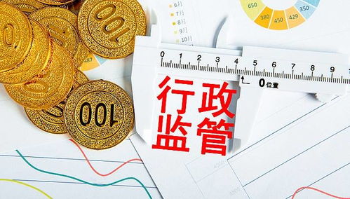 如何检查项目贷款资本金是否到位