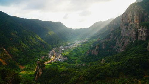 "；新三座大山"；指的是什么?