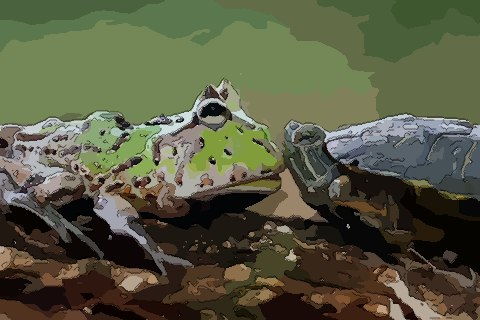 梦到乌龟变青蛙