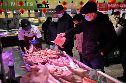 华储网：春节后继续组织开展中央储备冻猪肉投放工作