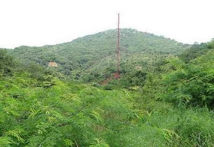 项目地处龙脉之上,依山而居,悠享龙山,虎山天然氧吧,藏风纳气,风水宝 风水龙脉宝地图片 风水大全 