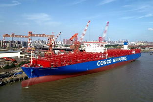 星座快航第六艘2万箱级集装箱船诞生 中远海运摩羯座 轮在南通命名