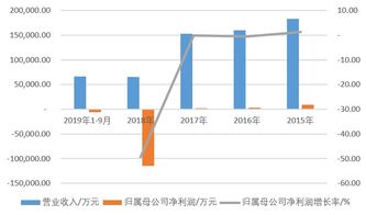 母公司类似投资公司，没有主营收入，如何操作？