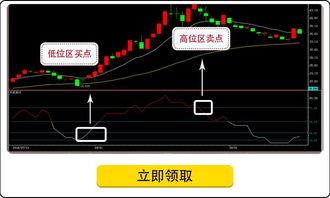 麟龙科技的股票软件更新开发的还快啊？